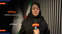 "زرسام "بیمه سامان با استقبال چشمگیر مشتریان مواجه شد + فیلم