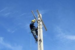 برق گرفتگی مرگبار ضارب جنگلبان رودباری
