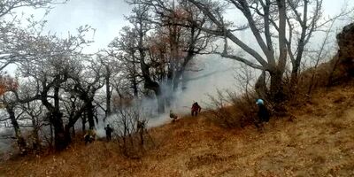 آتش سوزی یک مسکن در سوادکوه ۳ کشته برجا گذاشت
