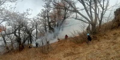 آتش‌سوزی در 8 هکتار از عرصه‌های جنگلی ‌سوادکوه
