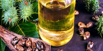 قیمت روغن کرچک صنعتی خوراکی