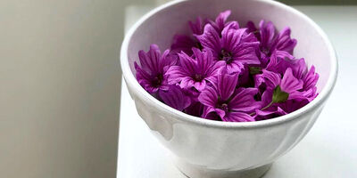 معجزه دمنوش به لیمو برای لاغری و کاهش اضطراب