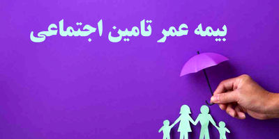 راهنمای جامع بیمه تامین اجتماعی دامداران در سال ۱۴۰۴