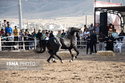 63256721__DSC9756-copy