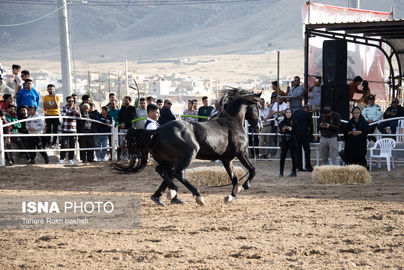 63256721__DSC9756-copy