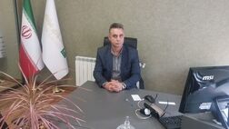 دلایل مهم فاصله گرفتن صنعت لیزینگ و بیمه در ایران