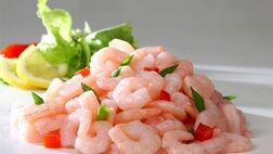 صید میگو به ۵۸۰ تن رسید