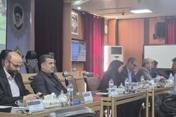 حضور بیمه ایران قم در نخستین میز خدمت دستگاه‌های اقتصادی استان در منطقه ویژه اقتصادی سلفچگان

