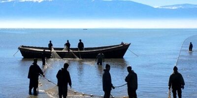 خسارت سرمازدگی به باغات بیمه شد
