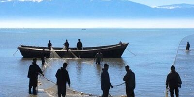 شناورهای صیادی و باری خوزستان از پرداخت حق بیمه سهم کارفرما معاف شدند