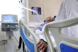 اعتبار پرونده دارویی بیماران خاص تا پایان فروردین ۱۴۰۵ تمدید شد
