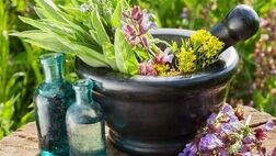 تولید ۴۵۰ هزارتن گیاهان دارویی در سالجاری