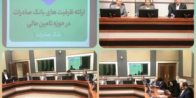 بانک صادرات ایران از تامین مالی صنعت پتروشیمی به طور ویژه حمایت خواهد کرد