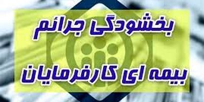 واگذاری طرح های سازمان زمین شناسی به شرکتهای دانش بنیان