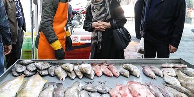 فروش هر کیلوگرم قزل آلا زنده در بازار تهران بین ۲۱۰ تا ۲۴۰ هزار تومان