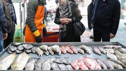 فروش هر کیلوگرم قزل آلا زنده در بازار تهران بین ۲۱۰ تا ۲۴۰ هزار تومان