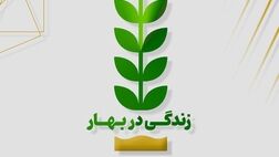 مرور عملکرد بیمه تجارت‌نو در فروردین ۱۴۰۳ نسبت به بازه مشابه سال گذشته