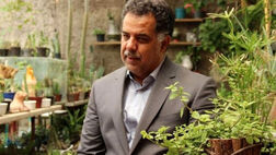 35 درصد مزارع و باغات کشاورز تحت پوشش بیمه هستند