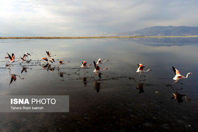63316331_DJI_0154-copy