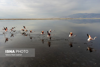 63316331_DJI_0154-copy