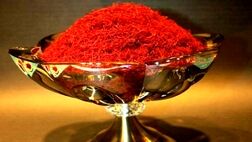 صادرات زعفران ایران به  ۵۵ کشور