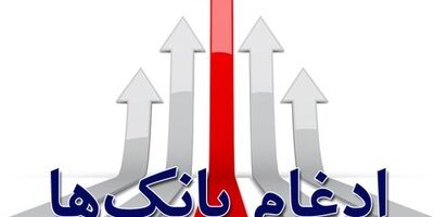 بانک‌های ادغام سهامی عام شوند 