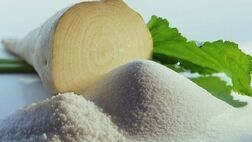نرخ جدید خرید تضمینی چغندر قند بهاره و پاییزه اعلام شد