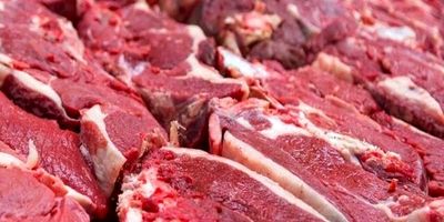 آغاز توزیع گوشت تنظیم بازار در تهران و البرز + قیمت
