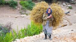 بیمه رایگان زنان سرپرست خانوار در روستاها / افزایش ۶۰ درصدی حقوق مستمری‌بگیران این صندوق
