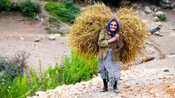 بیمه رایگان زنان سرپرست خانوار در روستاها / افزایش ۶۰ درصدی حقوق مستمری‌بگیران این صندوق
