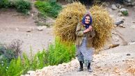 بیمه رایگان زنان سرپرست خانوار در روستاها / افزایش ۶۰ درصدی حقوق مستمری‌بگیران این صندوق

