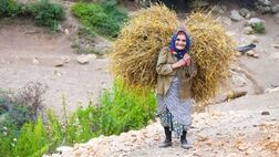 بیمه رایگان زنان سرپرست خانوار در روستاها / افزایش ۶۰ درصدی حقوق مستمری‌بگیران این صندوق

