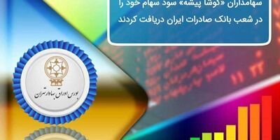 سهامداران «کوشاپیشه» سود سهام خود را در شعب بانک صادرات ایران دریافت کنند