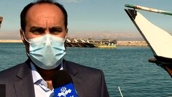 شناور‌های صیادی سبک و سنگین کیش زیر پوشش بیمه ایران قرار می‌گیرند