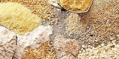 تامین کالاهای اساسی در شرایط حساس کنونی