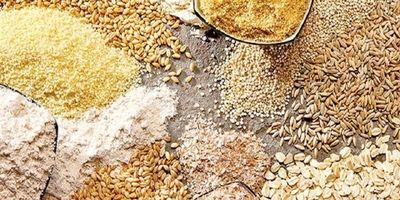  کشف بیش از ۹۹۰ تن انواع کالا‌های اساسی در تهران 