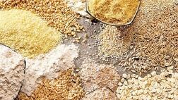 تامین کالاهای اساسی در شرایط حساس کنونی
