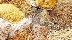تامین کالاهای اساسی در شرایط حساس کنونی