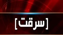 ماجرای ناپدید شدن مجسمه ۵ میلیاردی یک هنرمند
