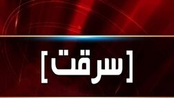 ماجرای ناپدید شدن مجسمه ۵ میلیاردی یک هنرمند
