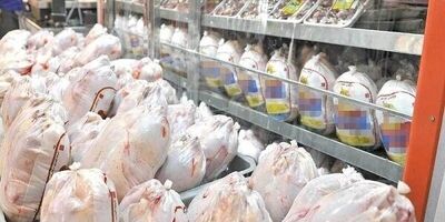قیمت مرغ به نرخ مصوب رسید