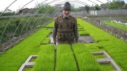 عمر سموم کشاورزی به آخر رسید؟