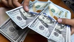 تشدید ابهام در پرونده ارزی ثبت سفارش چای
