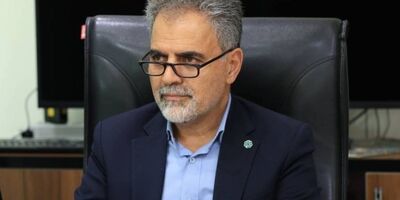 نعمت اله رضائی رئیس هیات مدیره بانک توسعه تعاون شد
