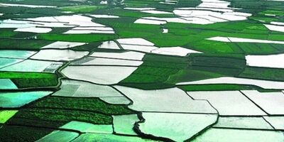 صدور سند تگ برگ برای  ۱۳۰ میلیون هکتار از ۱۶۴ میلیون هکتار اراضی کشور 