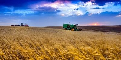 ۱۰۰ درصد عملیات بیمه کشاورزی بر خط انجام می‌شود