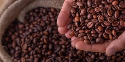 مصرف جهانی قهوه چقدر است؟
