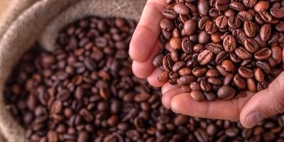 طرز تهیه قهوه کرمانی؛ نوشیدنی گرم و اصیل شهر کرمان
