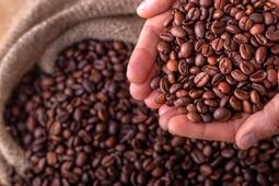مصرف جهانی قهوه چقدر است؟
