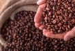  آغاز ثبت سفارش واردات موز و قهوه از هفته آینده 